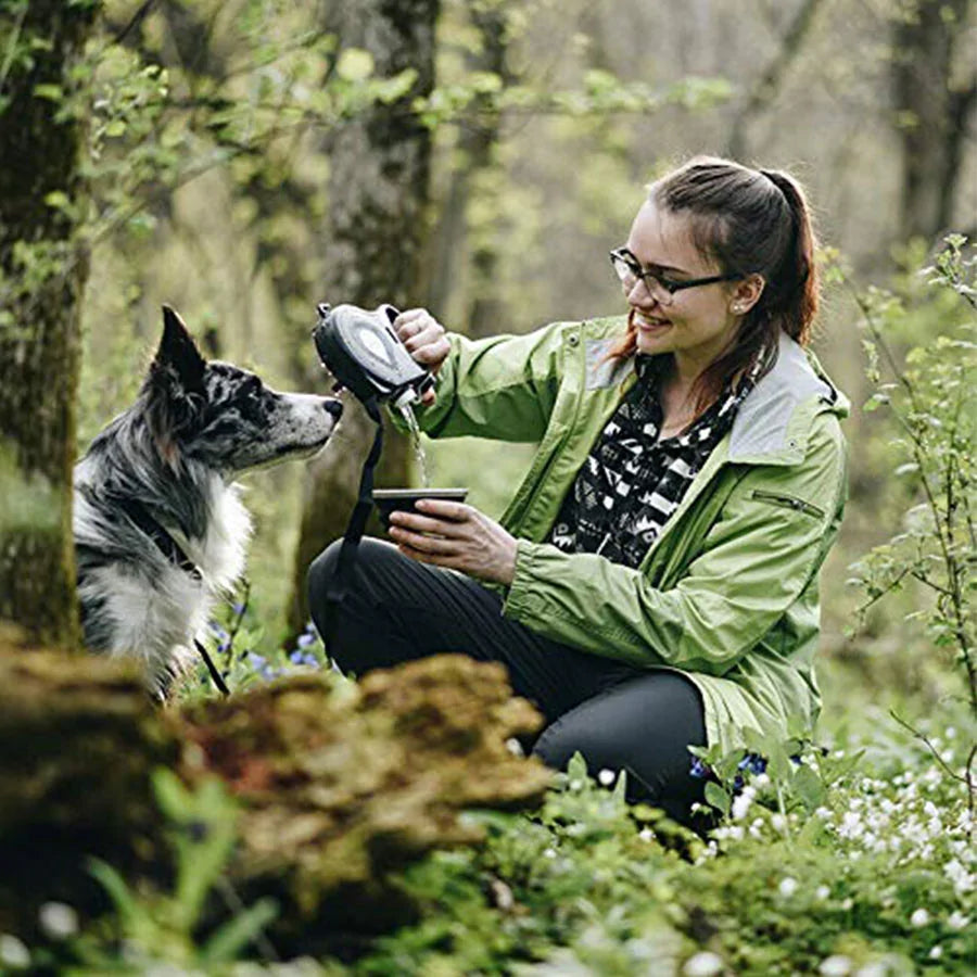 Retractable Dog Leash