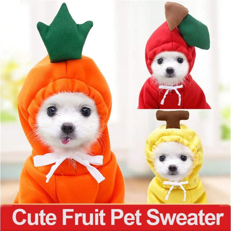 Cute Fruit Dog Clothes