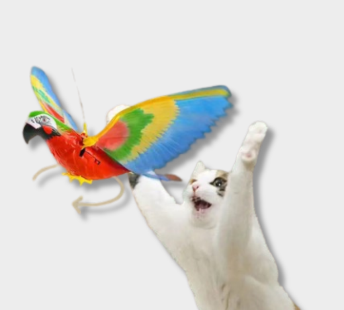 Flying Bird Cat Toy