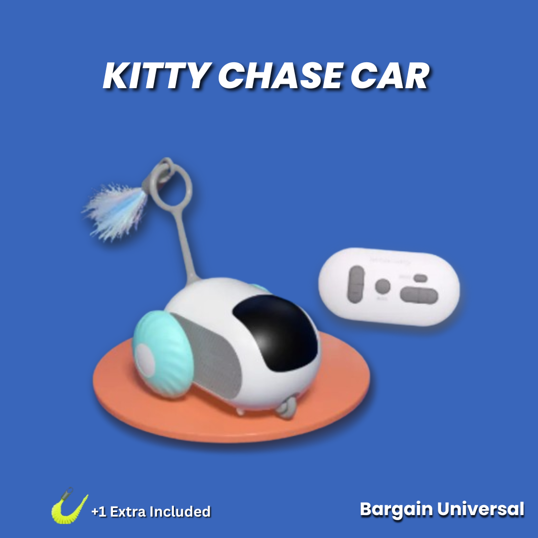 cat toy, interactive cat toy, remote control cat toy, and kitty chase toy